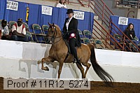 11r12_5274 proof