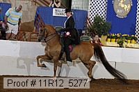 11r12_5277 proof