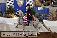 11r12_5283 proof