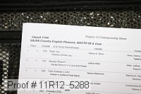 11r12_5288 proof