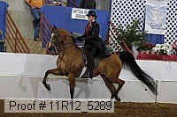 11r12_5289 proof