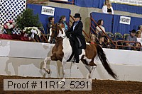 11r12_5291 proof