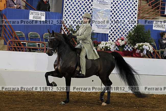 Proof 11r12_5293