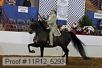 11r12_5293 proof
