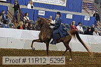 11r12_5295 proof