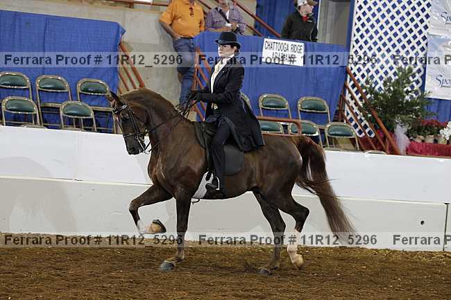 Proof 11r12_5296