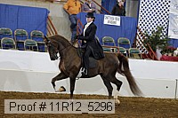 11r12_5296 proof