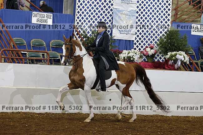 Proof 11r12_5302