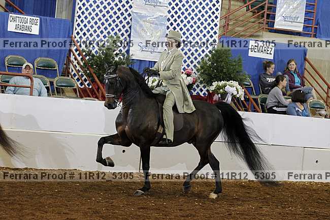 Proof 11r12_5305