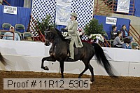 11r12_5305 proof