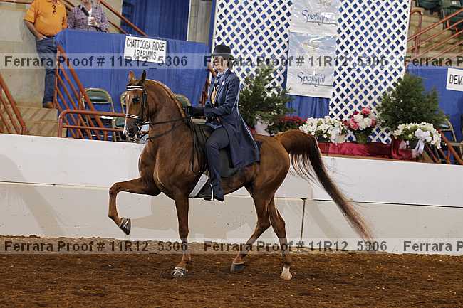 Proof 11r12_5306