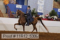 11r12_5306 proof