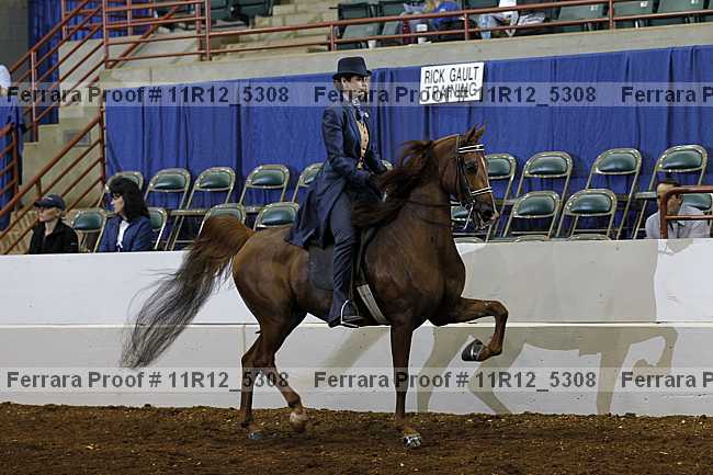 Proof 11r12_5308