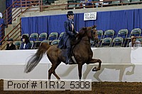 11r12_5308 proof