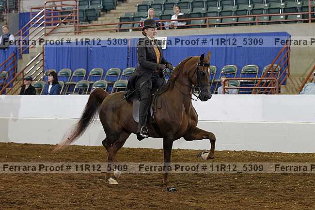 Proof 11r12_5309
