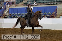 11r12_5309 proof