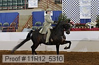 11r12_5310 proof