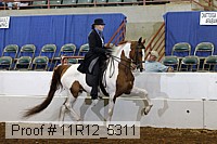 11r12_5311 proof