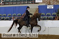 11r12_5313 proof