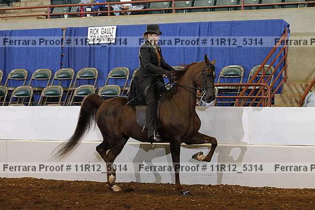 Proof 11r12_5314
