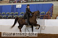 11r12_5314 proof