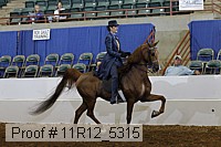 11r12_5315 proof