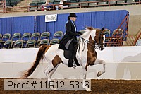 11r12_5316 proof