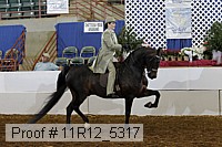 11r12_5317 proof