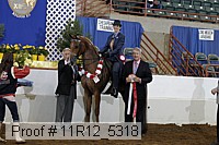 11r12_5318 proof