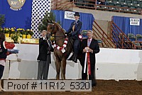 11r12_5320 proof
