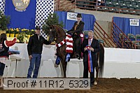 11r12_5329 proof
