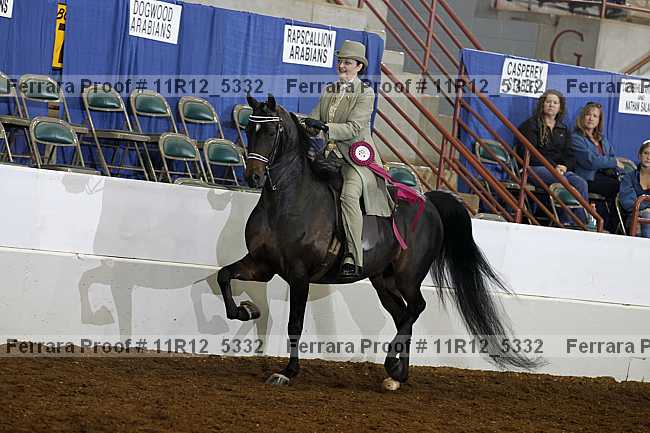 Proof 11r12_5332