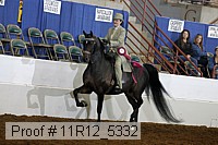 11r12_5332 proof