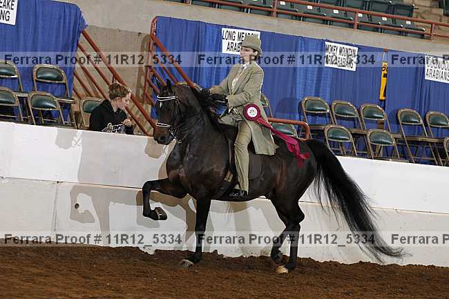 Proof 11r12_5334