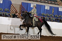 11r12_5334 proof