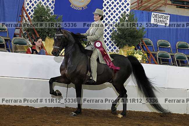 Proof 11r12_5336
