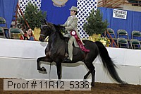 11r12_5336 proof
