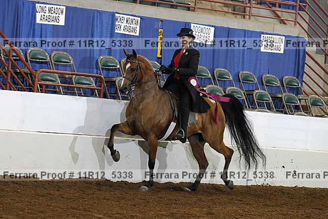 Proof 11r12_5338