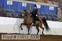 11r12_5338 proof
