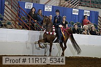 11r12_5344 proof