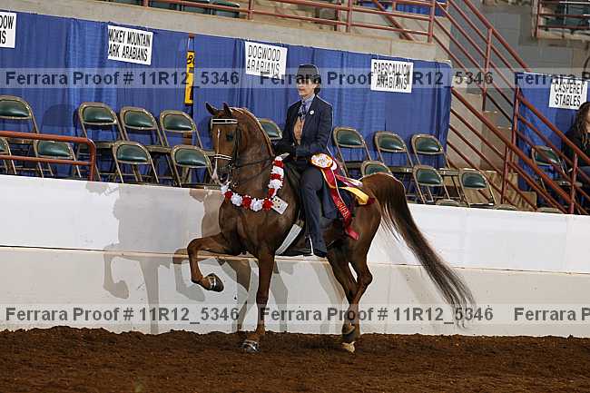 Proof 11r12_5346
