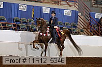 11r12_5346 proof