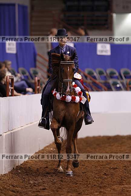 Proof 11r12_5347