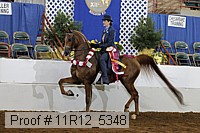 11r12_5348 proof
