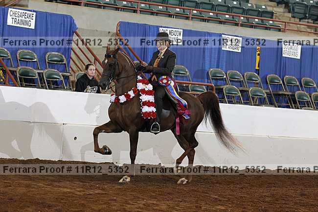 Proof 11r12_5352