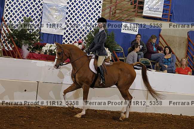 Proof 11r12_5358