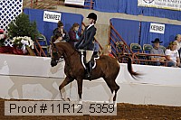 11r12_5359 proof