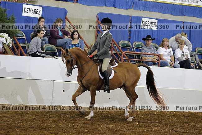 Proof 11r12_5360