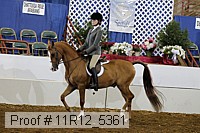11r12_5361 proof