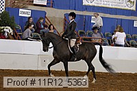 11r12_5363 proof